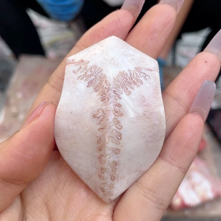 养殖鹿骨三界牌子