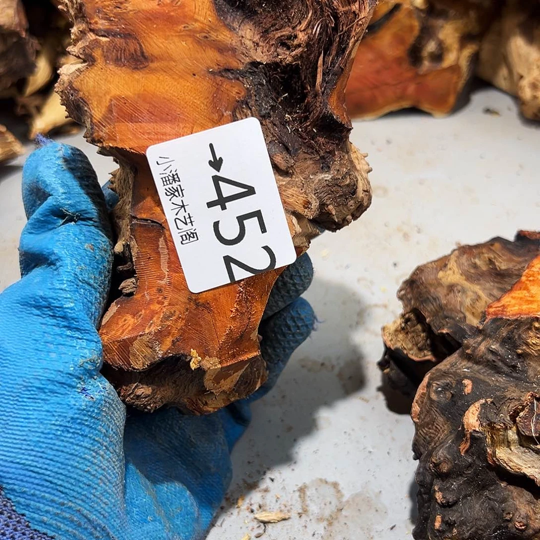 香榧木星**一火琉璃……火琉璃