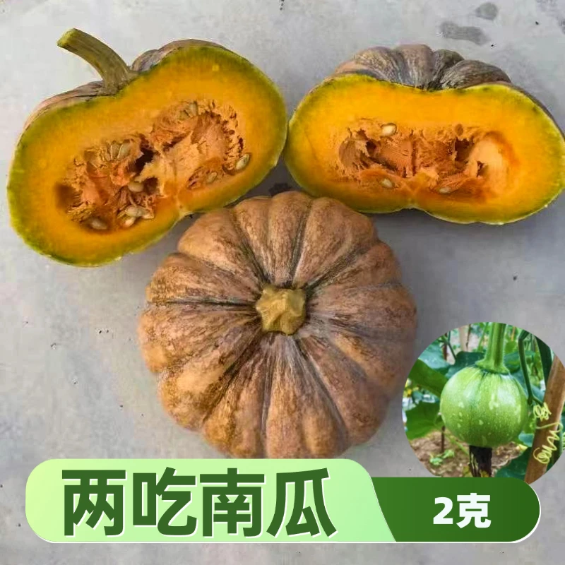 一瓜两吃小南瓜种子小朱爱三农甄选花皮一串铃南瓜磨盘小南瓜种籽
