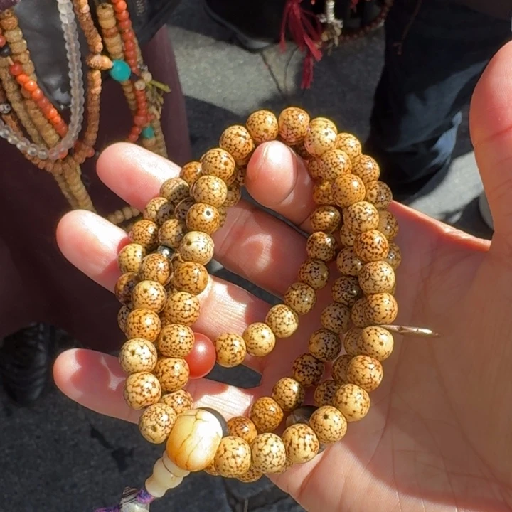 白玉菩提吊坠菩提树等树木的生长发育过程和