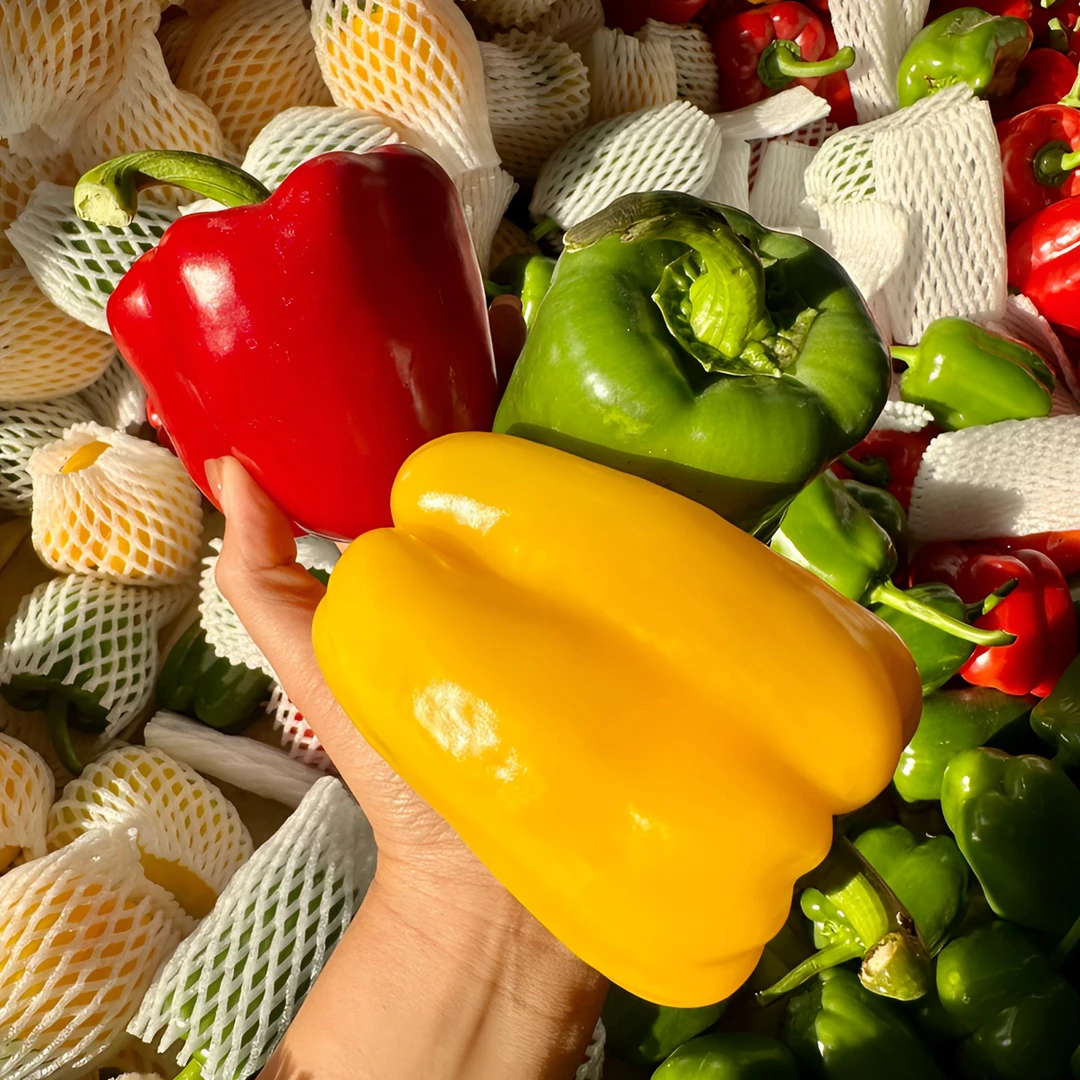 【现摘现发】山东新鲜红黄绿三色彩椒水果椒生熟两吃1-5斤