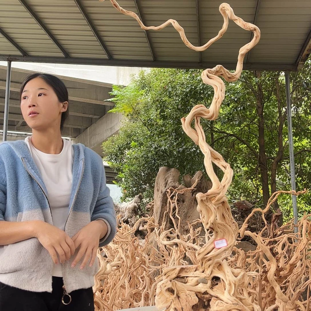 绽****木288积极积极积极了