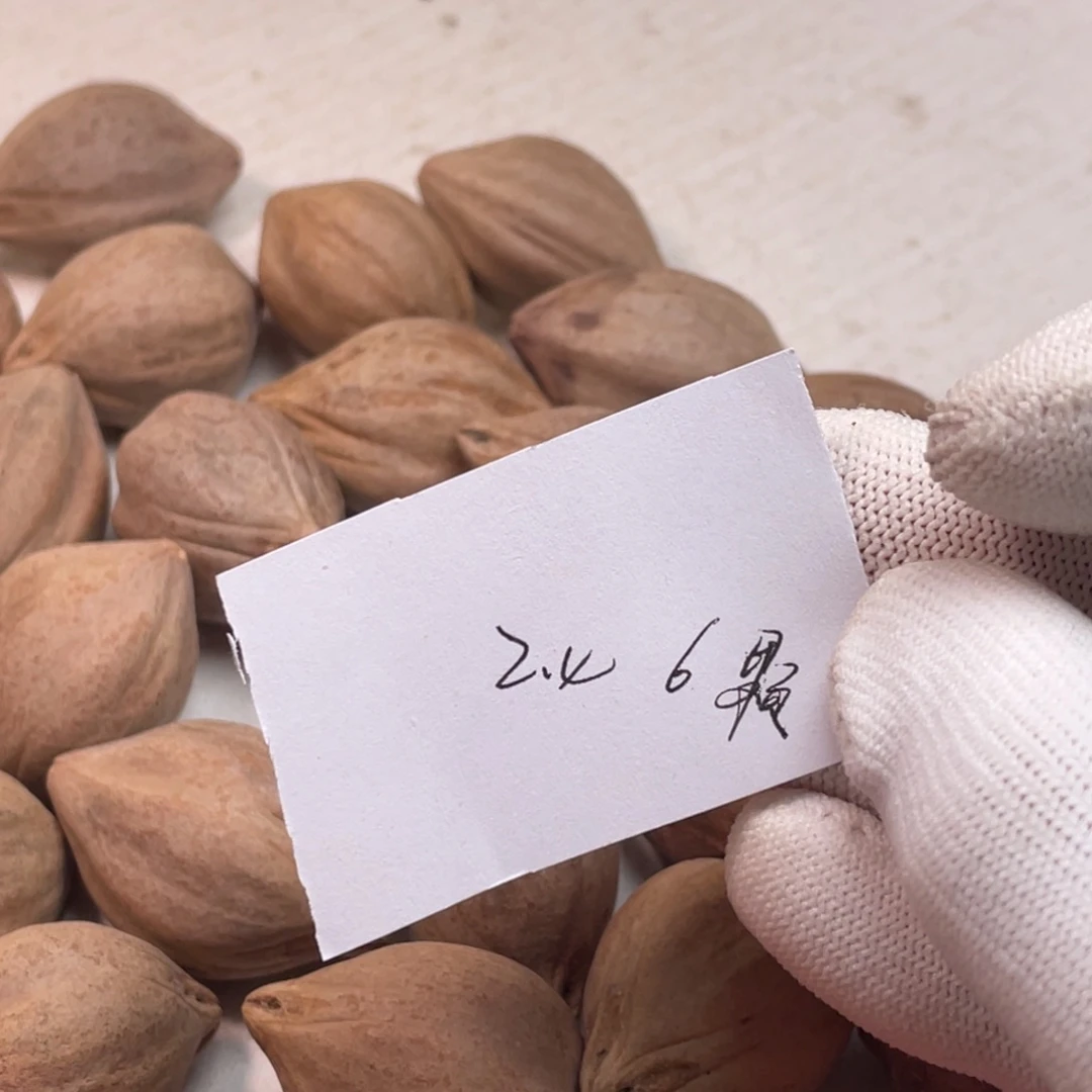 ღ***o橄榄核手串/手链1