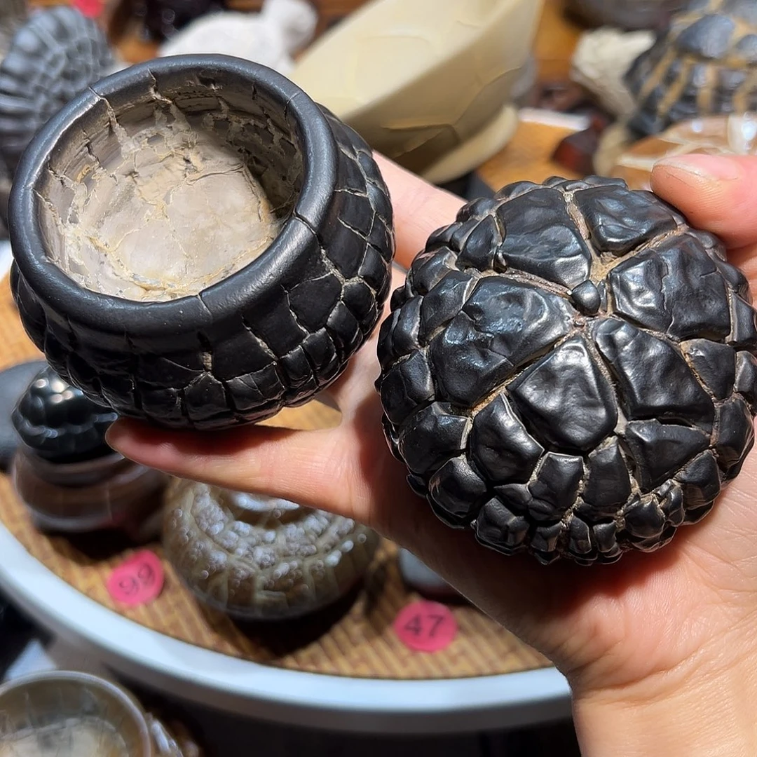 褚***武陶瓷湖南精品龟纹石精品