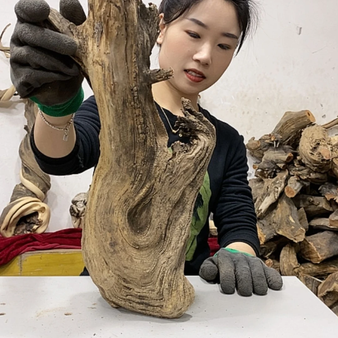 【闪购商品】柏木水**成我们都是好孩子啊