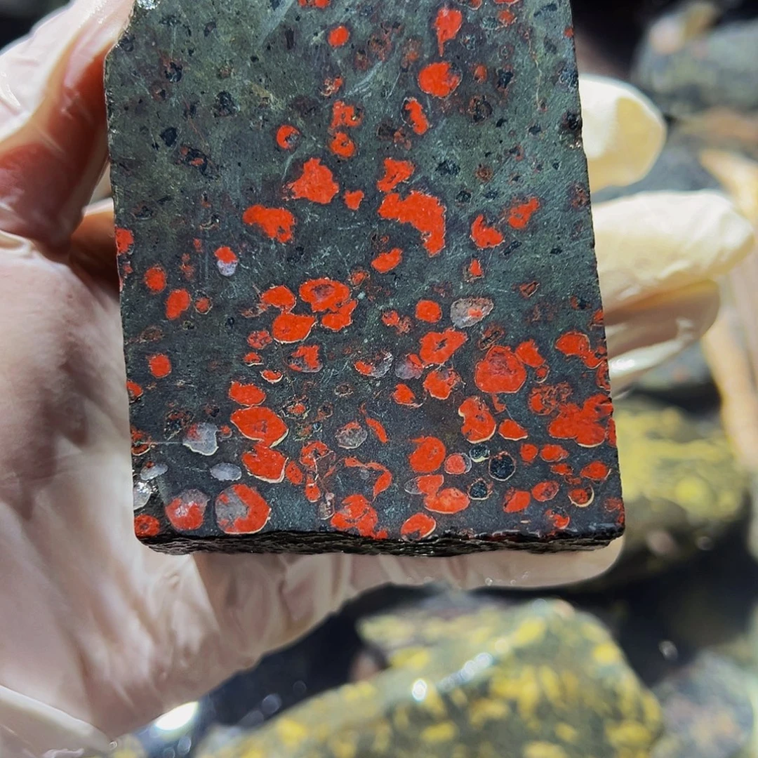 梅花玉鱼缸石茶周边微瑕不退不换