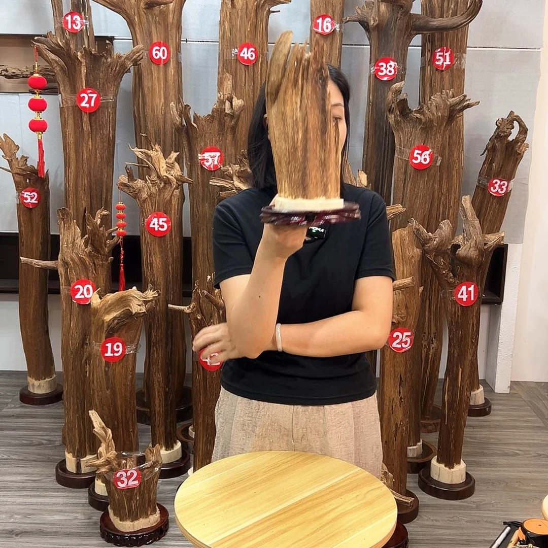 沉香沉香碎屑沉香