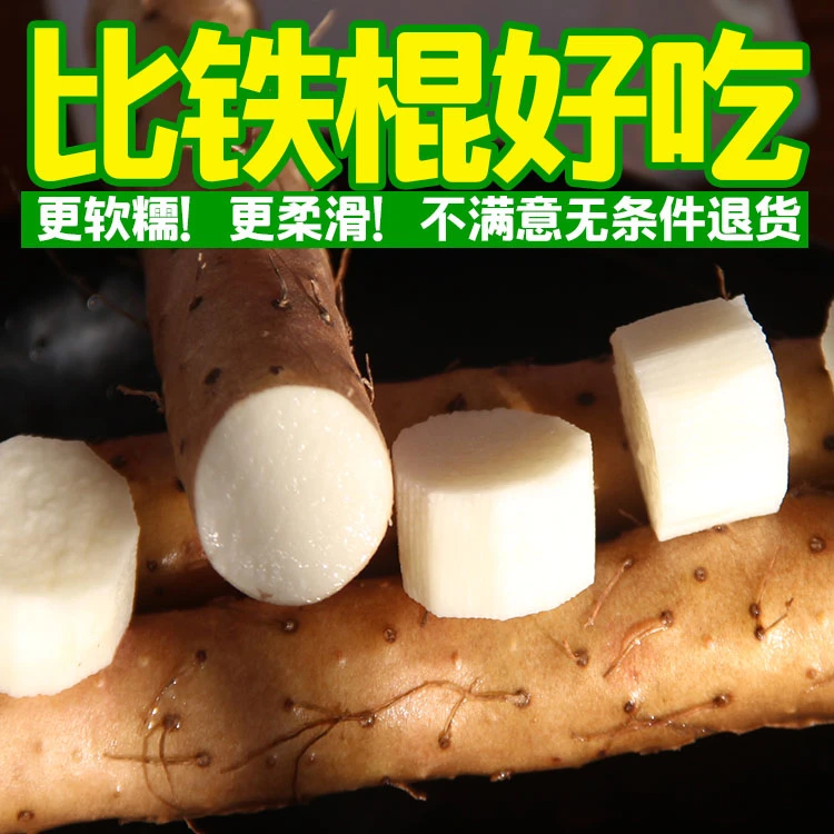 【整箱5斤】保定小白嘴山药淮山药怀山药新鲜麻山药比铁棍山药生吃