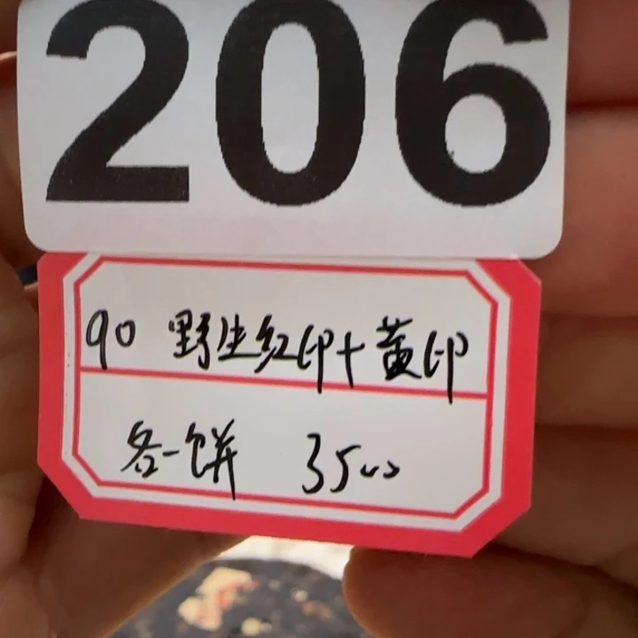 紫砂茶壶206...............