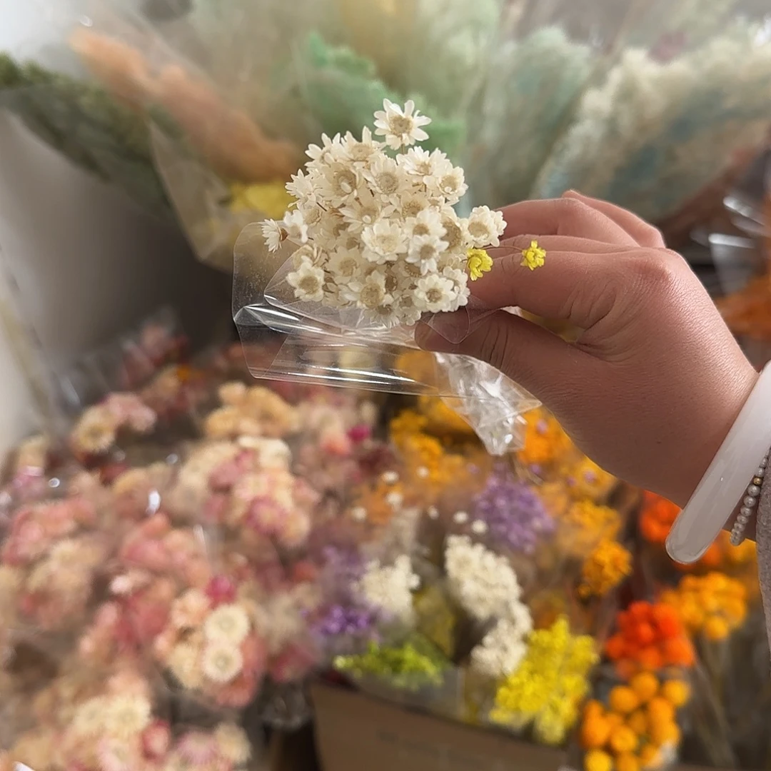 K43号白色100枝小星花