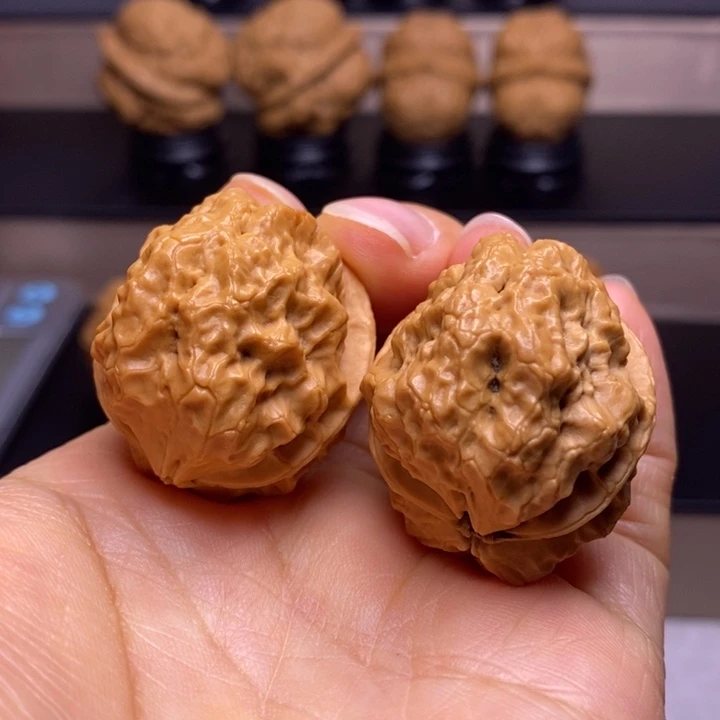 把件文玩核桃天师疙瘩包5