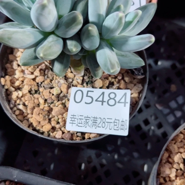 幸运的是我还没遇到