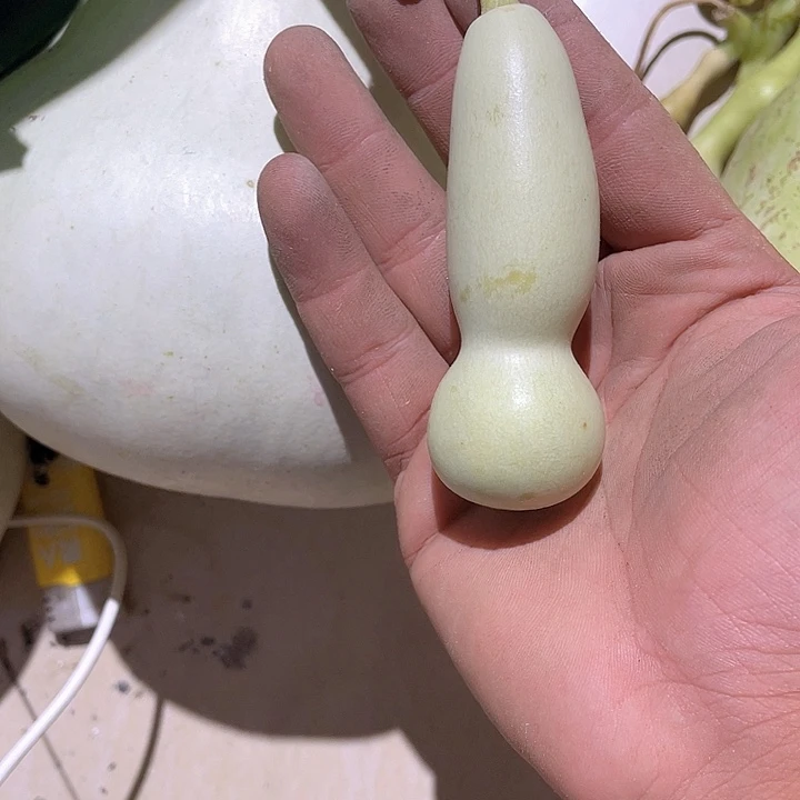 天***机木本年葫芦一枚手把
