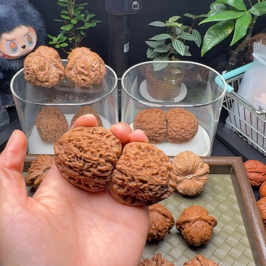 吊坠龙脊菩提全品三角疆42