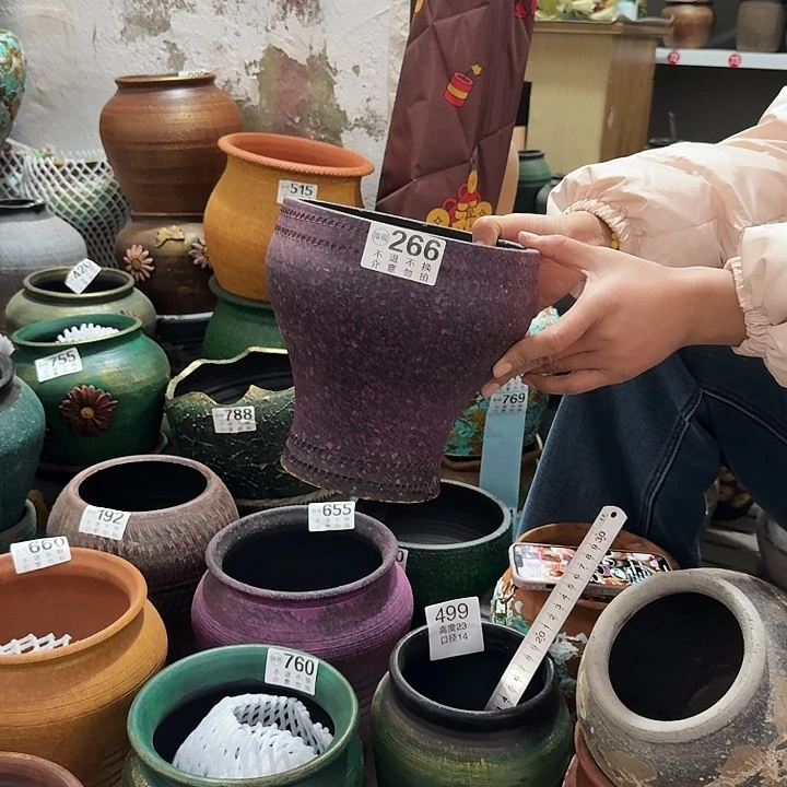 紫色鱼尾266高度20口径18