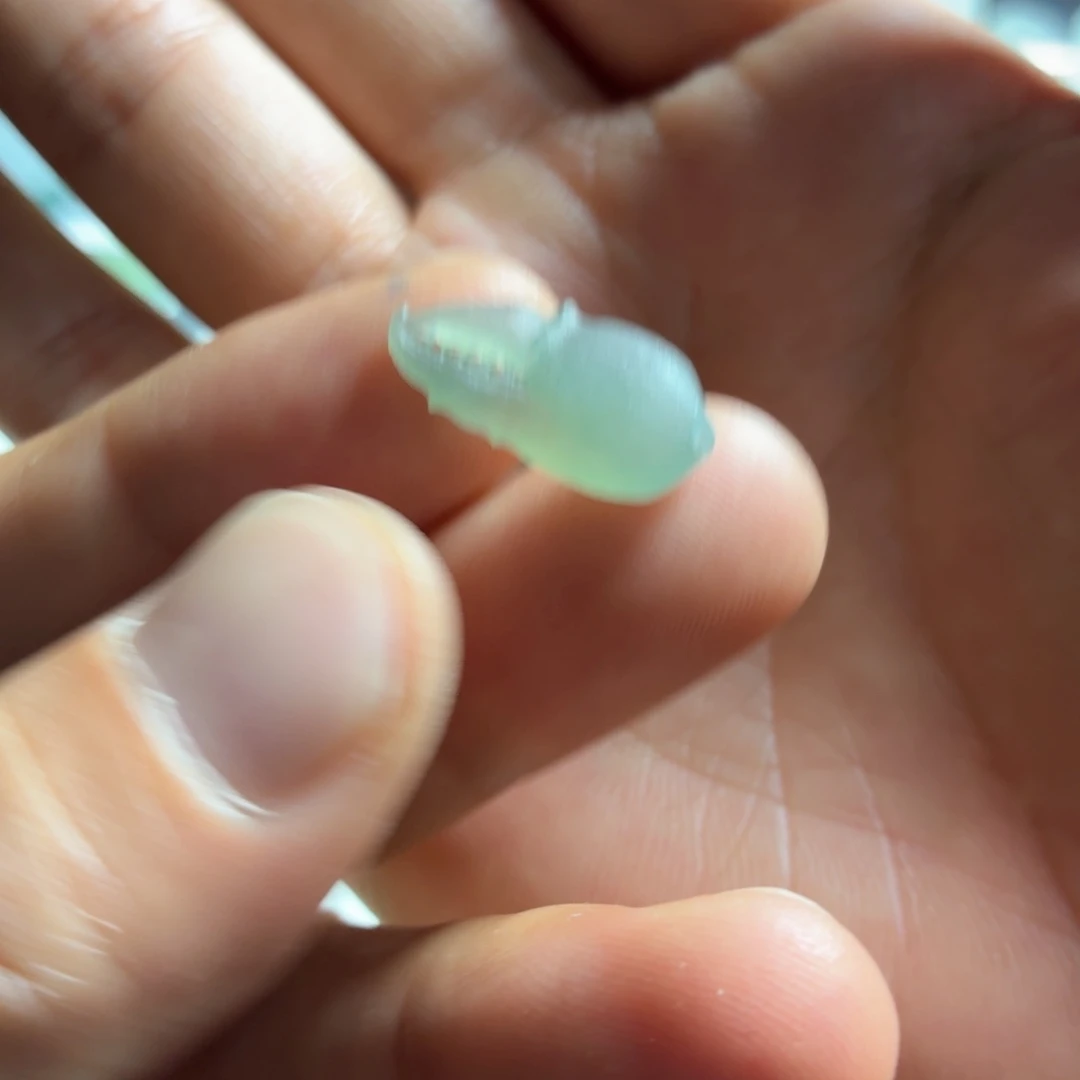 定制翡翠未镶嵌蟹钳