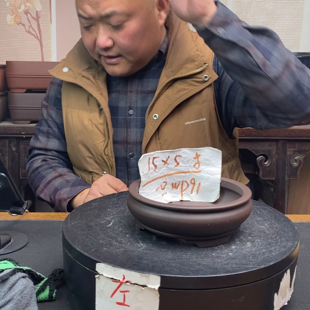 紫砂货号一只WP91