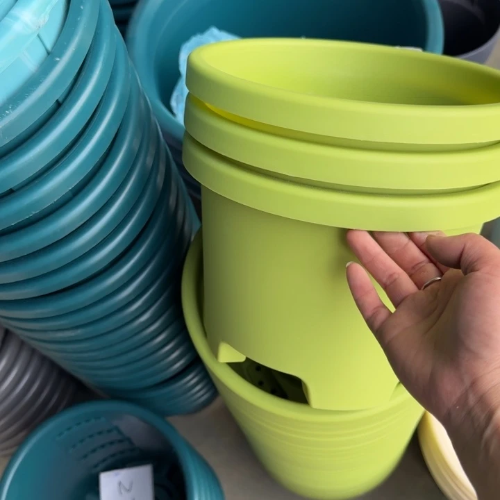 球根26口径6个无托果绿