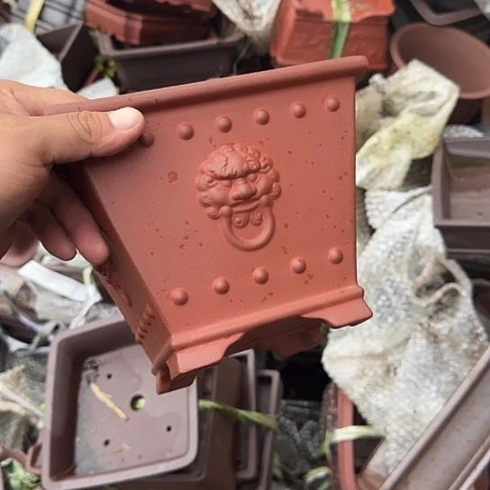 是的呀哈哈是这样哈哈好开心哦