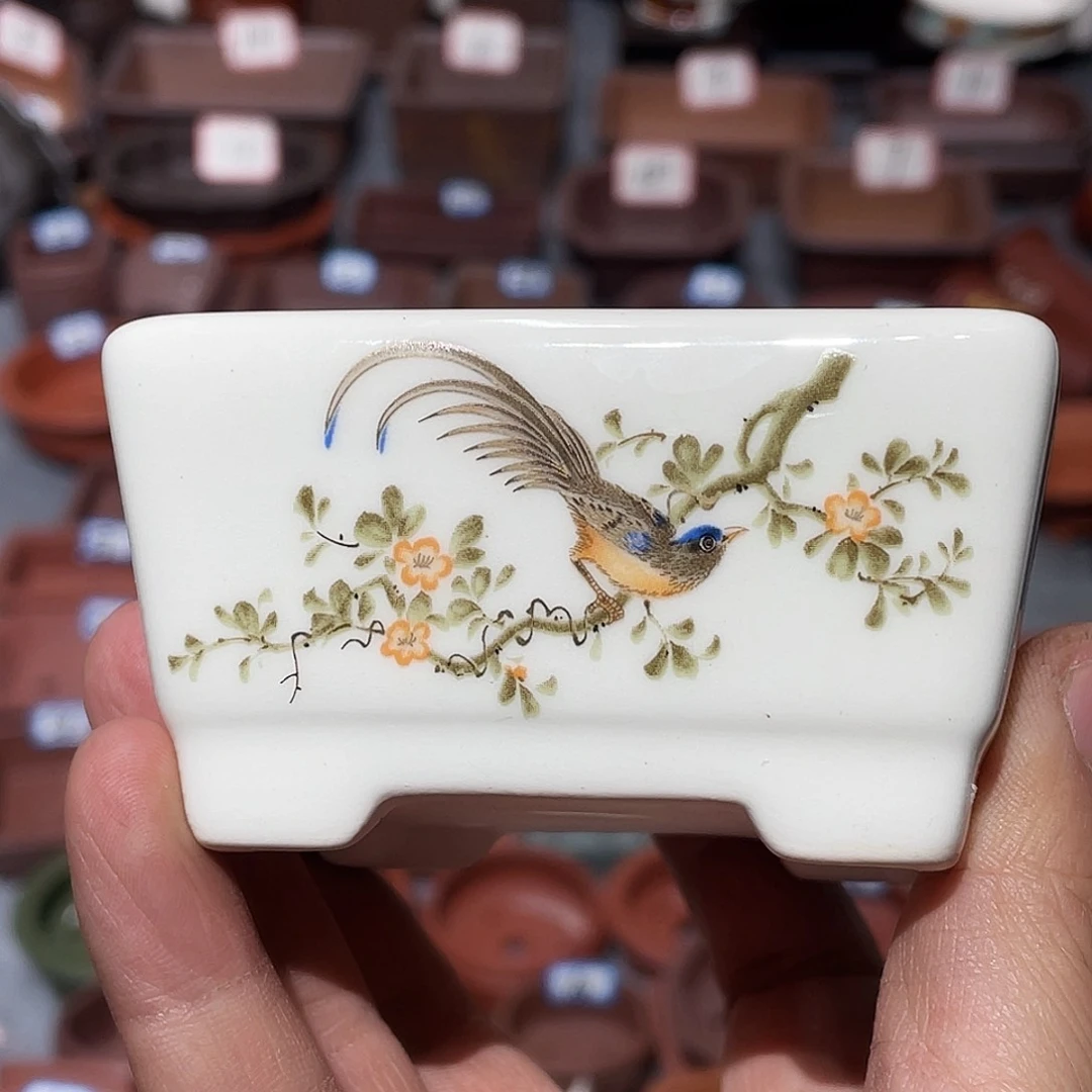 紫砂爆*花紫砂小盆7.5*3.5