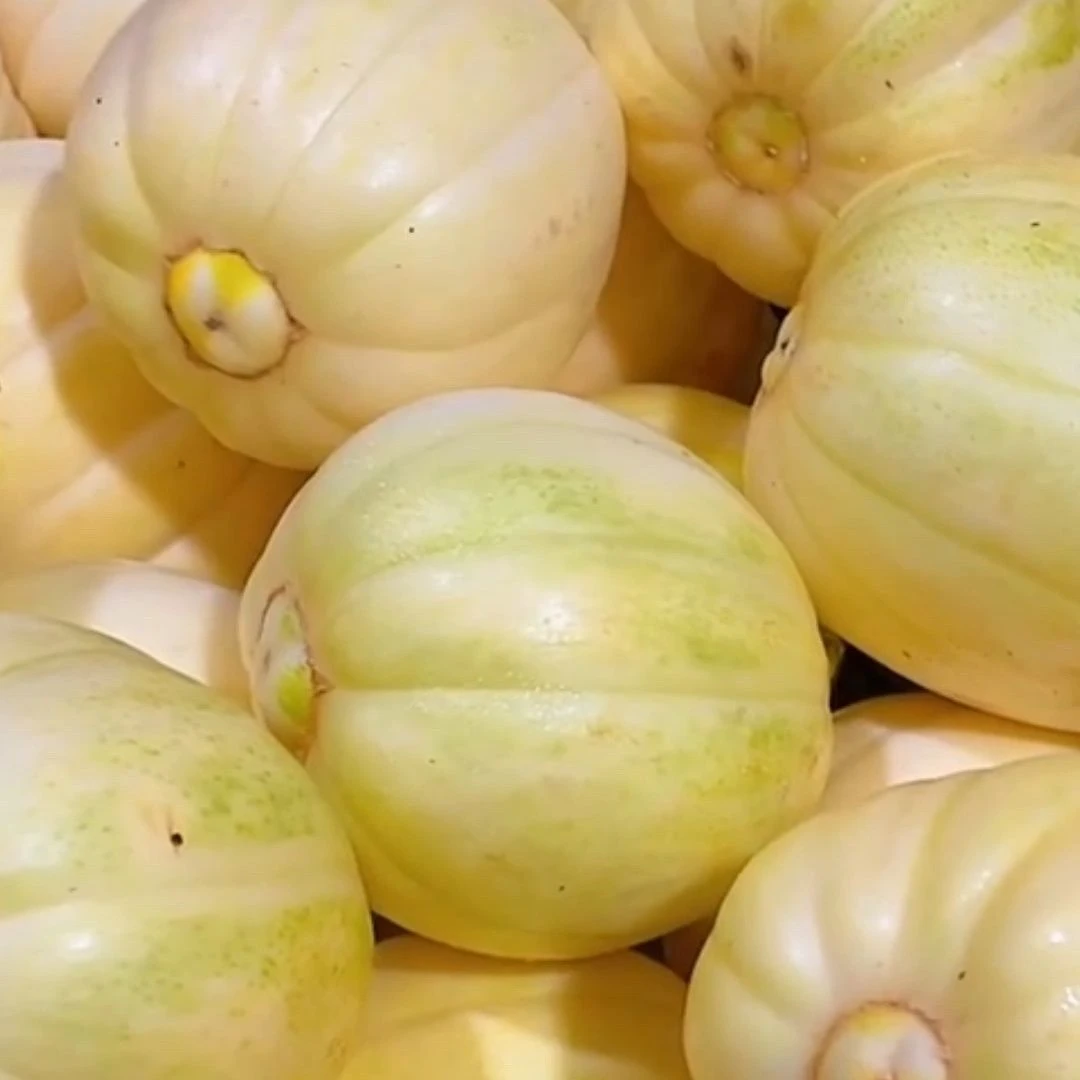 东北特产金飞  新鲜采摘