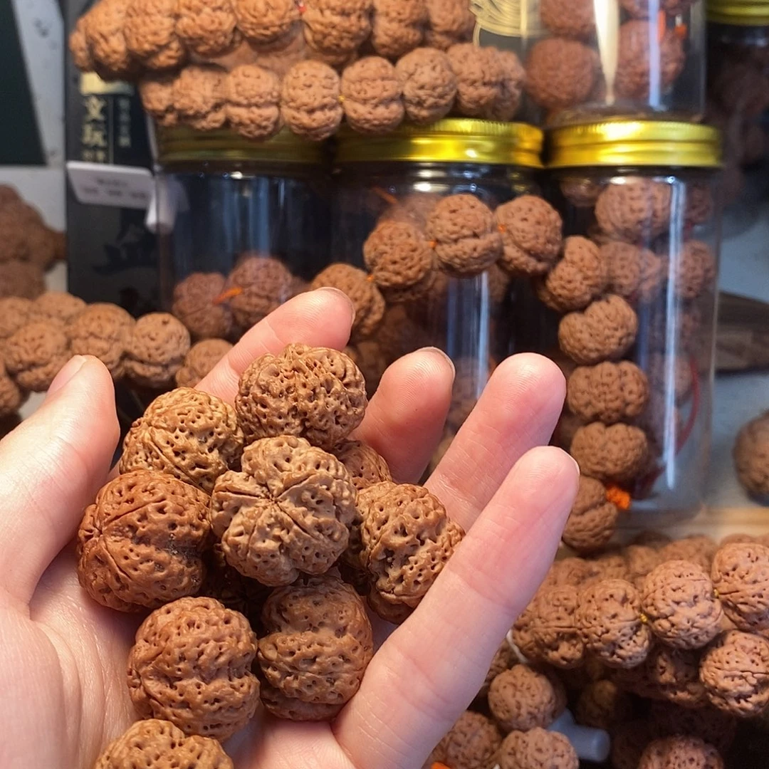 ℳ***起金刚菩提手串23龙牙高奢定制