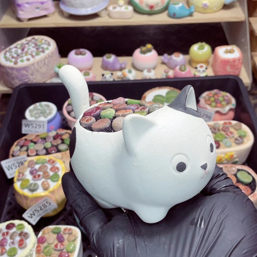 夜间零下地区拍保温箱w5297