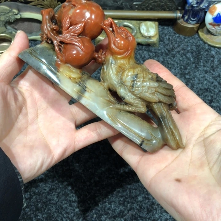 北**鱼北冥老师安居乐业