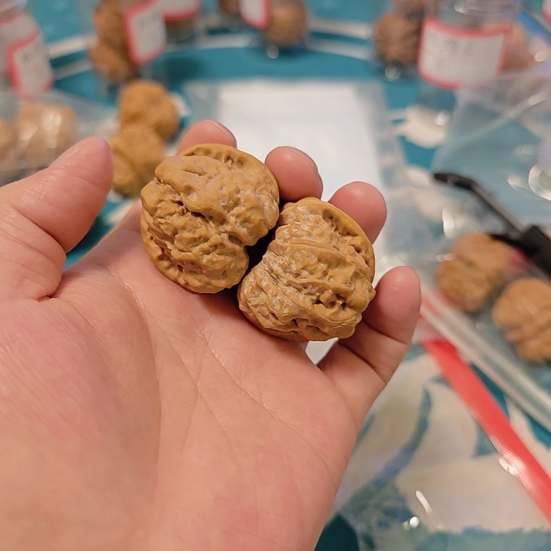 八*二文玩核桃蛤蟆头三八