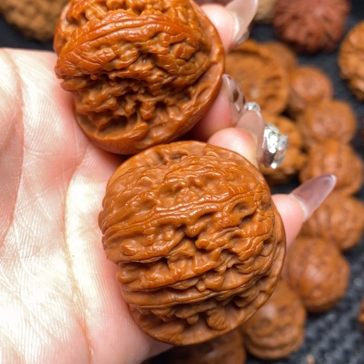 秦岭野生0000000011