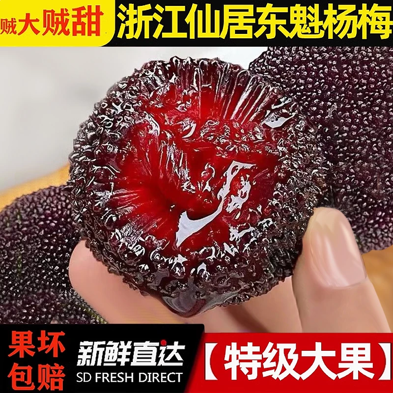 仙居东魁杨梅新鲜水果当季现摘正宗浙江大果礼盒装孕妇送礼整箱