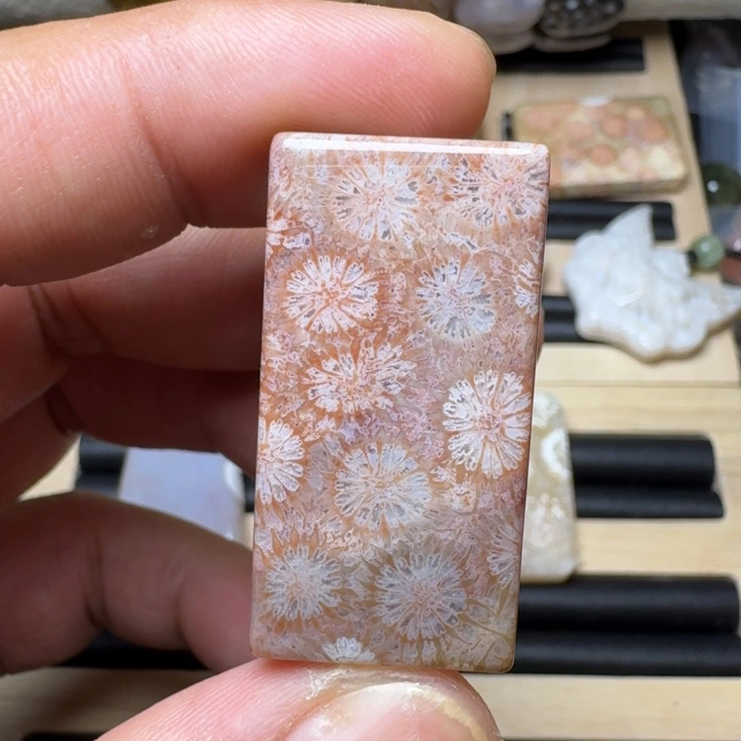 未镶嵌纯天然色有机玉石保真色硅化玉