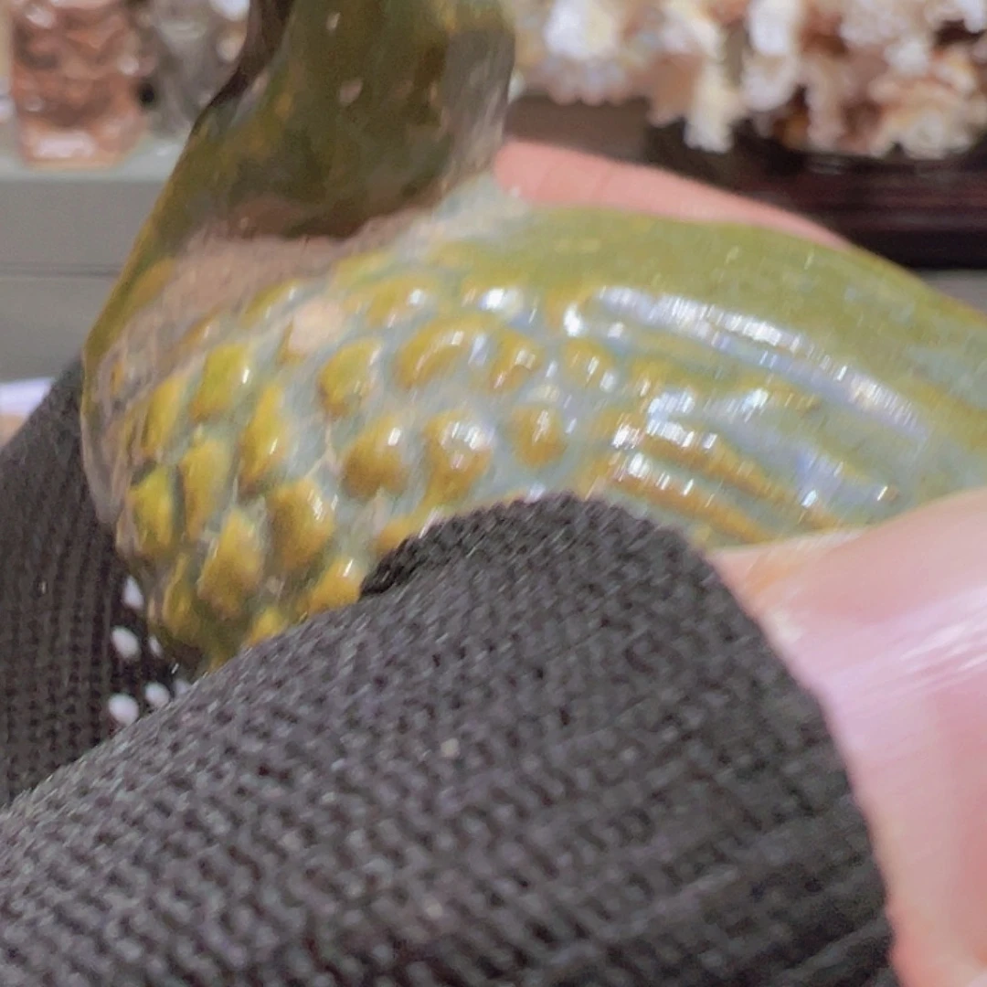 越**。秦时明月汉时关 万里长征人未还