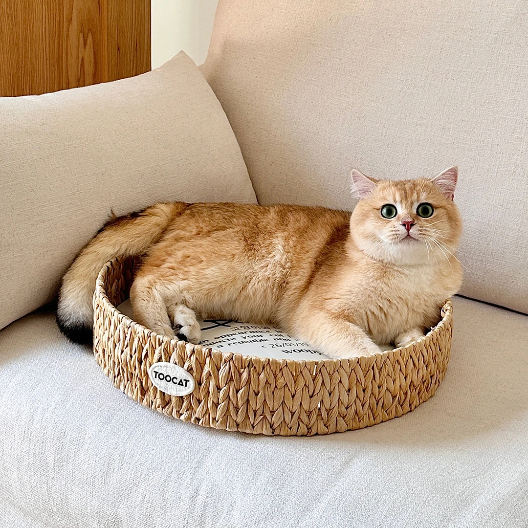 TOOCATOOT自然系草编猫抓板猫窝夏季宠物窝天然纯手工编织收纳篮