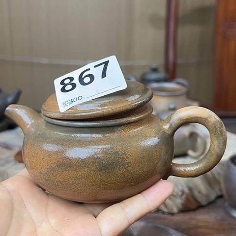 雷***神戬谷龙窑柴烧茶壶867