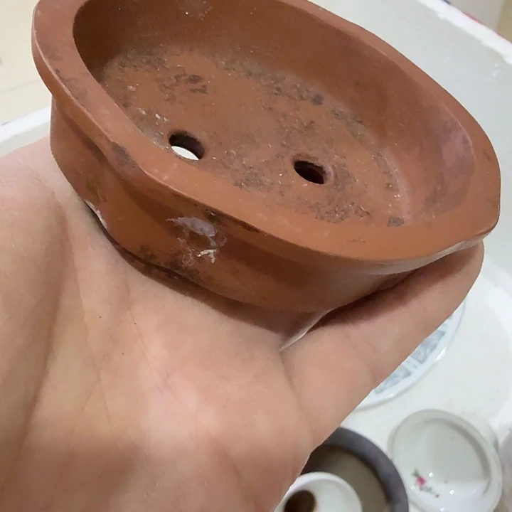 征***广扇子吃g恍恍惚惚哈哈哈哈哈哈