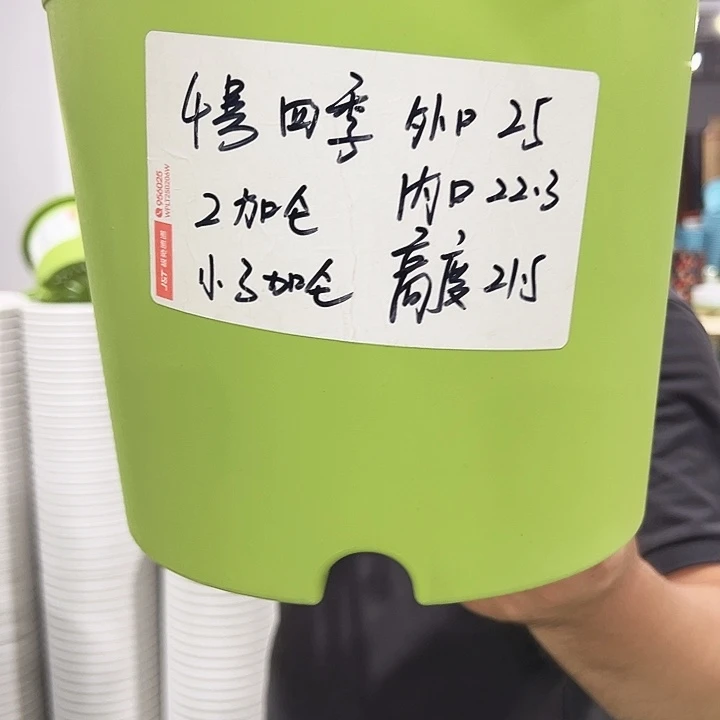 特价4号四季口25高21混色8个无托