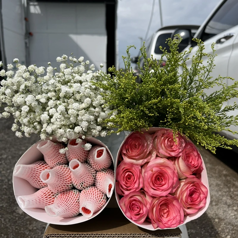 粉玫瑰+艾莎玫瑰+满天星+配草 云南昆明鲜花基地直发