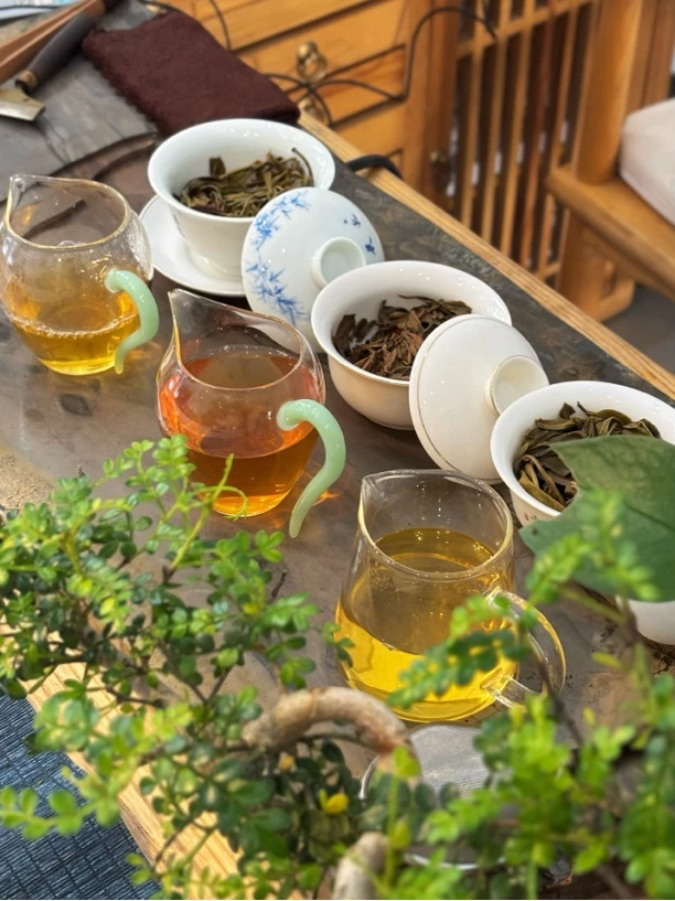 6种不同口感的茶样 生熟混 各一到两泡