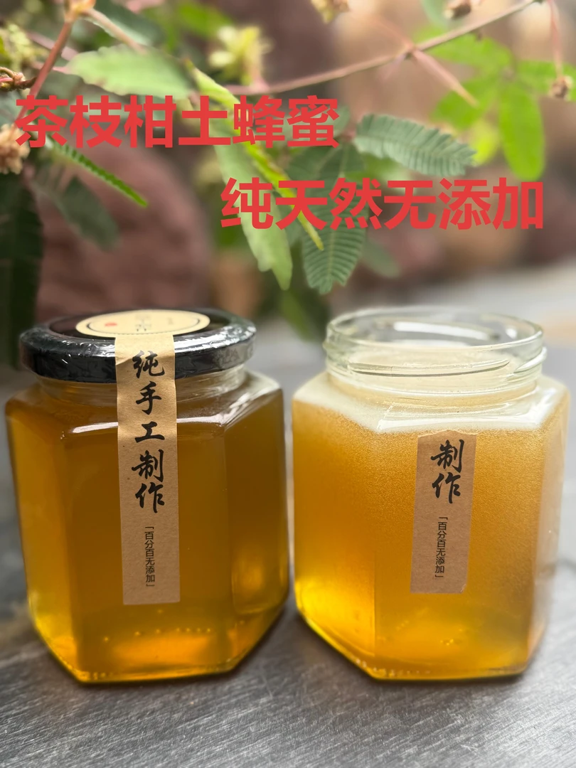 广西茶枝柑蜜2025年