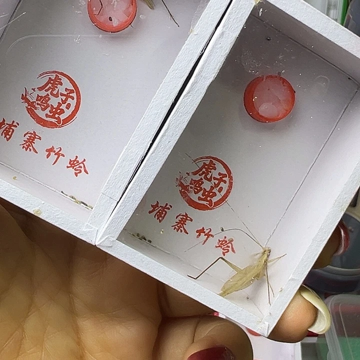 王***桭哈哈哈哈哈哈哈哈哈哈哈哈哈哈