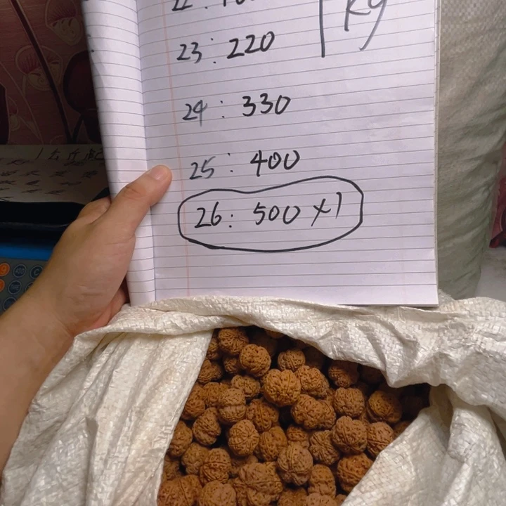 用***1金刚菩提手串龙牙梅花散籽主力24