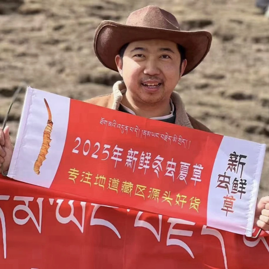 3号（30根）2025年新鲜冬虫夏草头期新货0.3-1.0克顺丰冷链发货