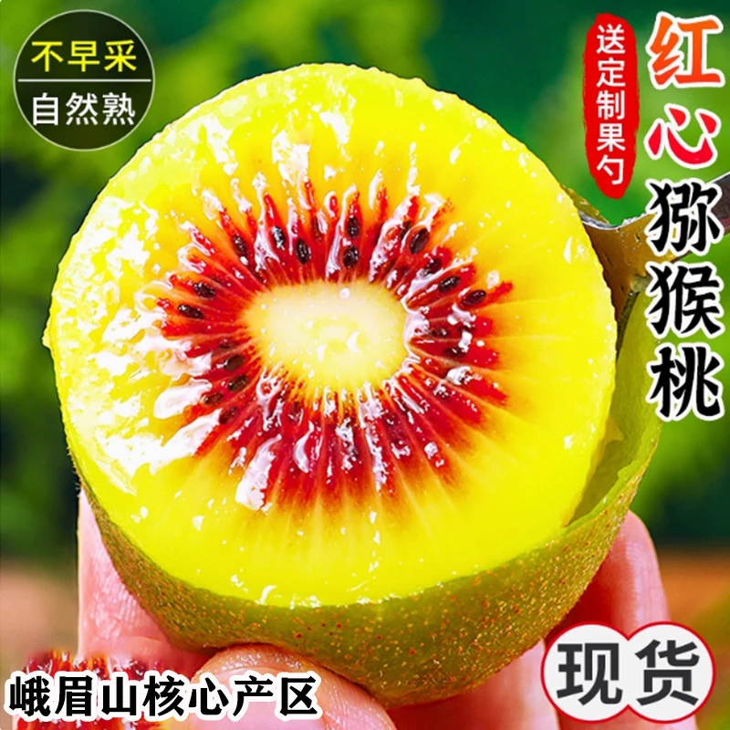 四川蒲江红心猕猴桃特大水果奇异果新鲜当季整箱弥猴桃10/30粒