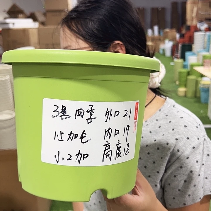 特价3号四季口21高18果绿10只无托