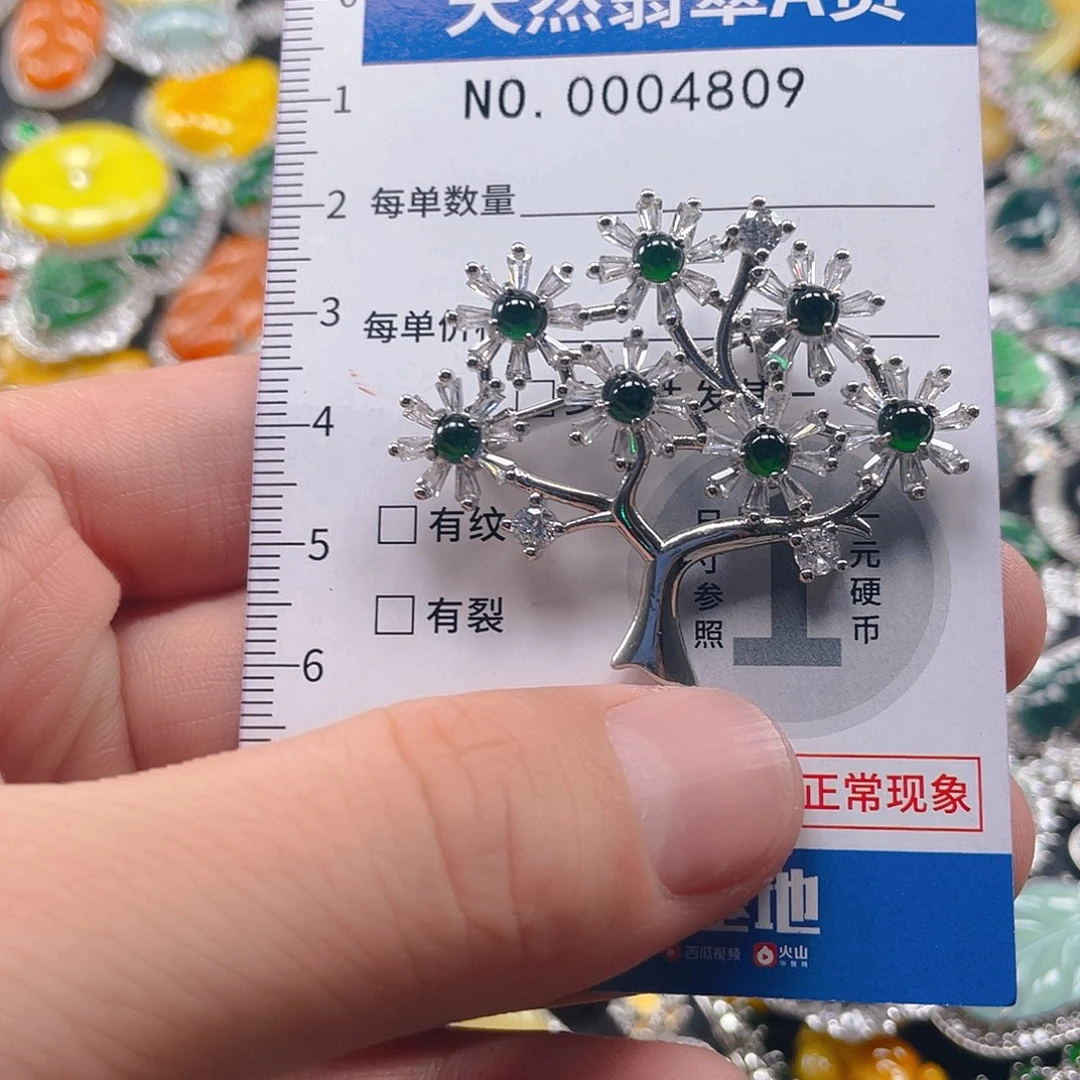 翡翠未镶嵌吊坠(不含链)