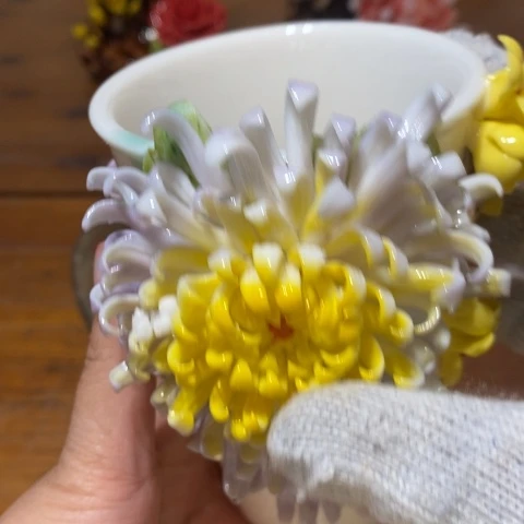 是噜噜噜小杨我哦啊咯