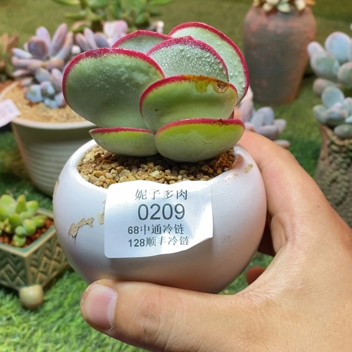 0209啊啊啊啊啊啊啊啊啊啊啊