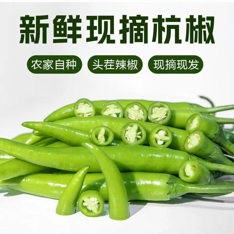 现摘新鲜薄皮杭椒多特辣美味农家种植1-5斤