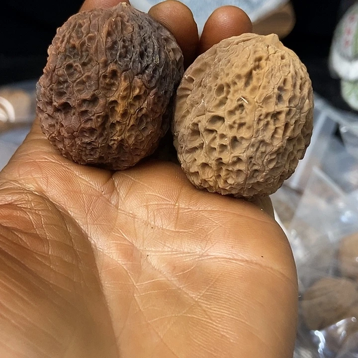 把件文玩核桃云南铁核桃基地75